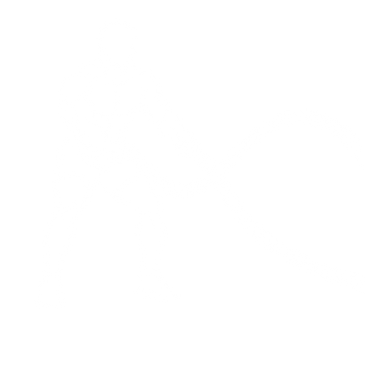 Battle Ropes starting position