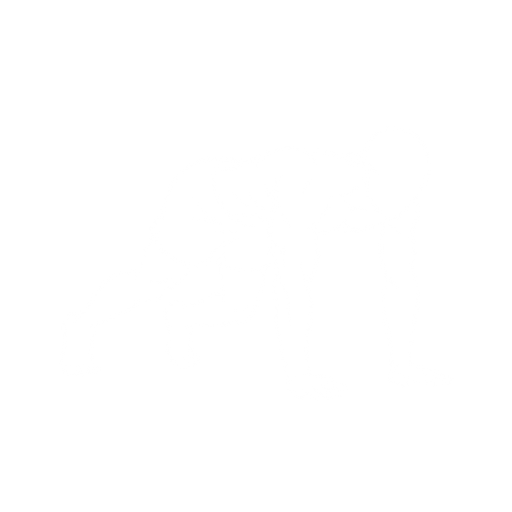 Bear Crawl starting position