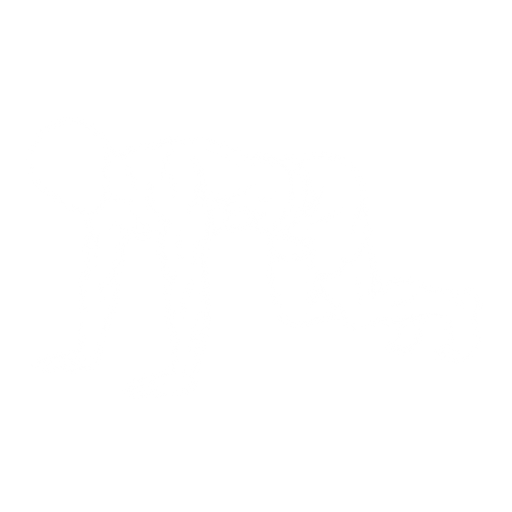 Bear Plank starting position