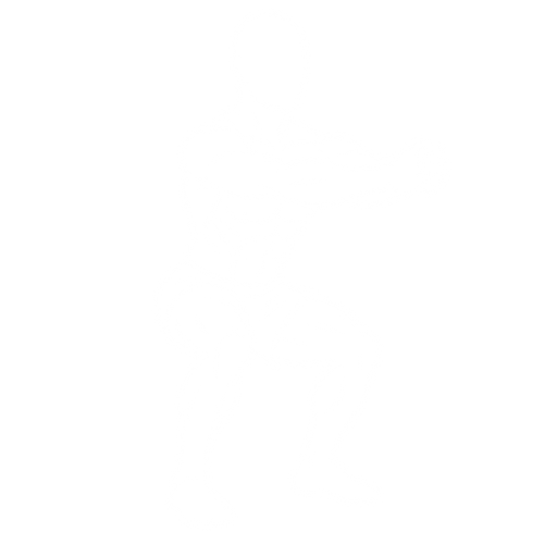 Bodyweight Squat starting position