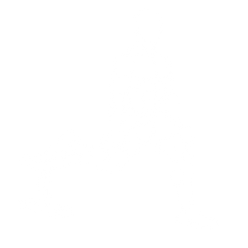 Bulgarian Split Squat starting position