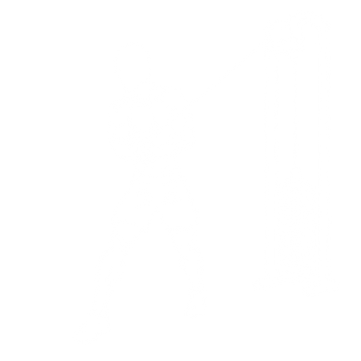 Cable Woodchop starting position
