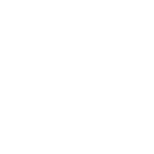 Decline Sit-Up starting position
