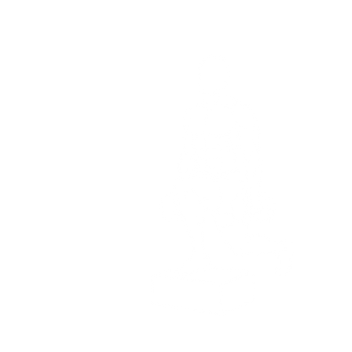 Deficit Reverse Lunge starting position