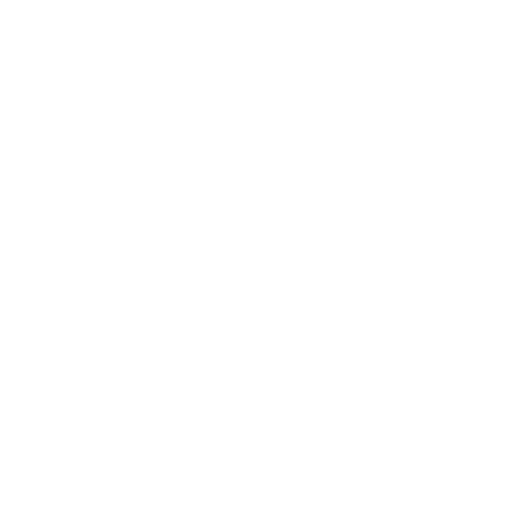 Dragon Flag starting position