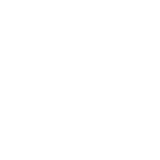 Dumbbell Curtsy Lunge starting position