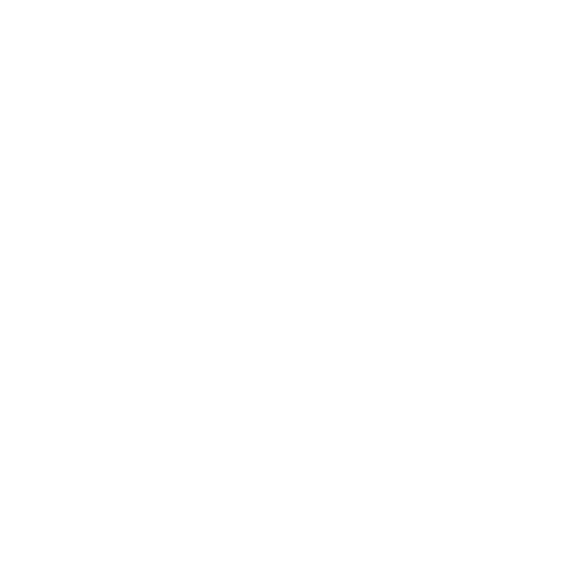 Farmer carry starting position
