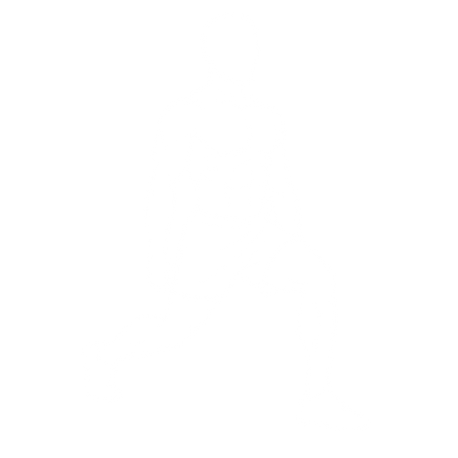 Forward Lunge starting position