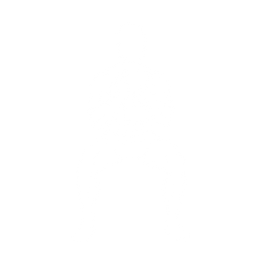 Goblet Squat starting position