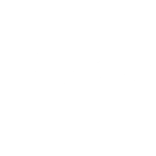 Hollow Body Hold starting position