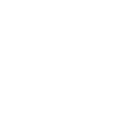 Kettlebell Swing starting position