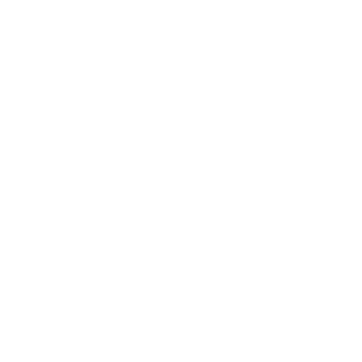 Knee Push-up starting position