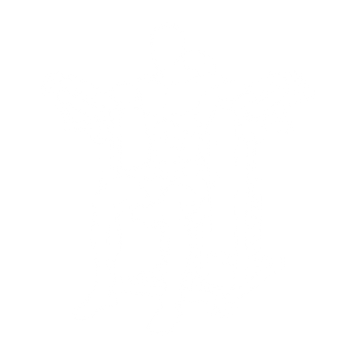 Machine Lateral Raise starting position