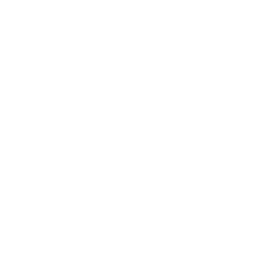 Rack Pull starting position