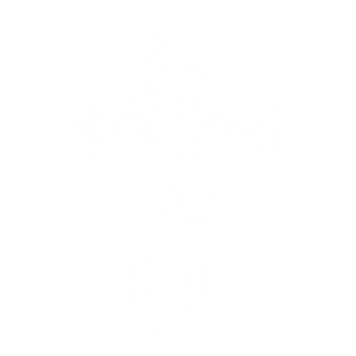 Reverse Curl starting position