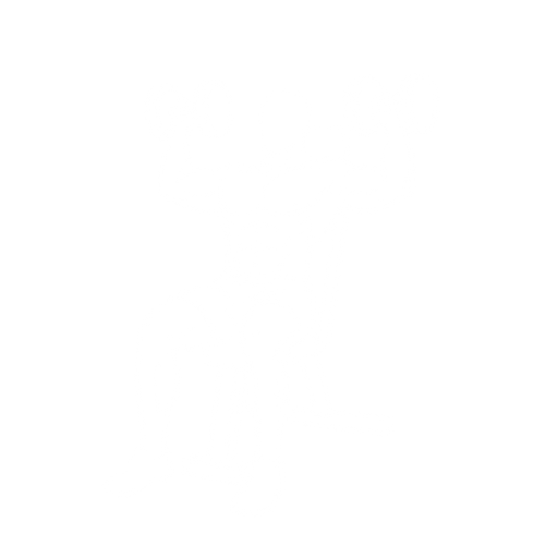 Dumbbell Seated Shoulder Press starting position