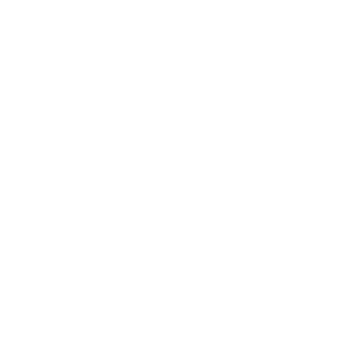 Side Plank demonstration