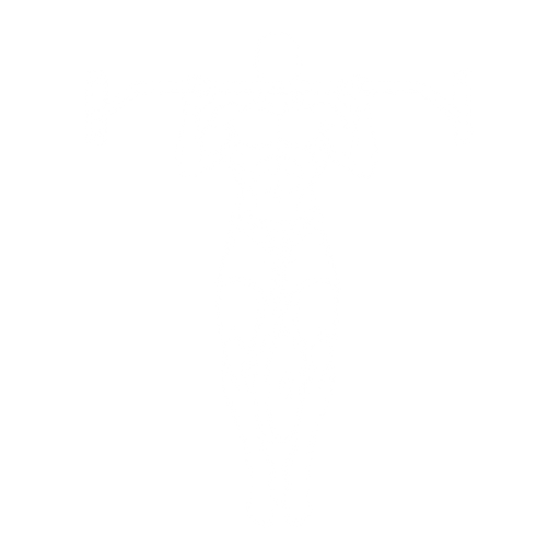 Weighted Pull-up starting position